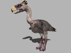 terror bird phorusrhacos 3D 模型
