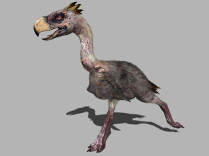terror bird phorusrhacos 3D 模型