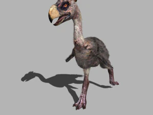 terror bird phorusrhacos 3D Model