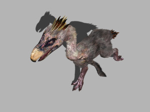 terror bird phorusrhacos 3D 模型