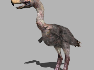 terror bird phorusrhacos 3D 模型