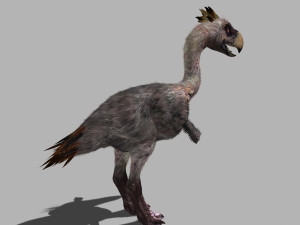 terror bird phorusrhacos 3D 模型