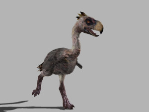 terror bird phorusrhacos 3D 模型