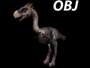 terror bird phorusrhacos 3D 模型