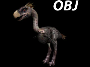 terror bird phorusrhacos 3D Model