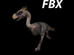 terror bird phorusrhacos 3D Model