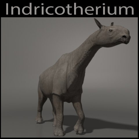 indricotherium 3d - pre-historic mammal 3D Модель .c4d .max .obj .3ds .fbx .stl .blend 