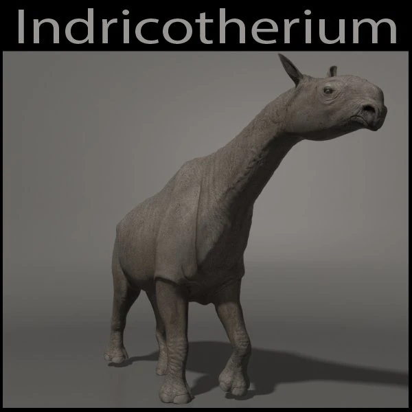 indricotherium 3d - pre-historic mammal 3D Model .c4d .max .obj .3ds .fbx .stl .blend 