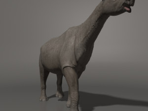 indricotherium 3d - pre-historic mammal 3D Модель
