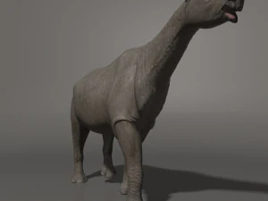 indricotherium 3d - pre-historic mammal 3D Model