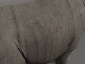 indricotherium 3d - pre-historic mammal 3D Модель