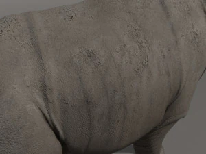 indricotherium 3d - pre-historic mammal 3D Model