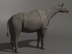 indricotherium 3d - pre-historic mammal 3D Модель