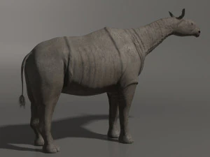 indricotherium 3d - pre-historic mammal 3D Model