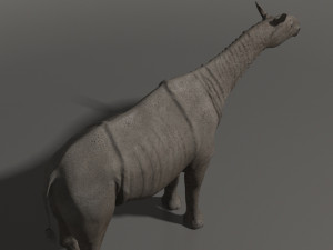 indricotherium 3d - pre-historic mammal 3D Модель