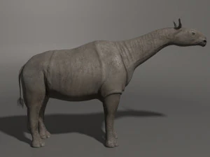 indricotherium 3d - pre-historic mammal 3D Model