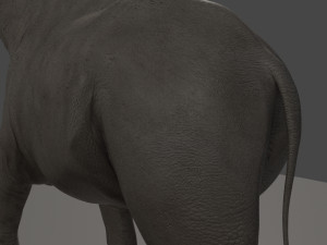 indricotherium 3d - pre-historic mammal 3D Модель