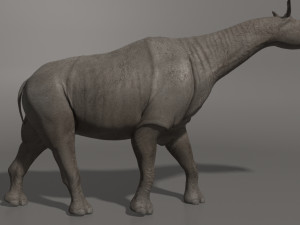 indricotherium 3d - pre-historic mammal 3D Модель