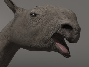indricotherium 3d - pre-historic mammal 3D Модель