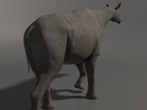 indricotherium 3d - pre-historic mammal 3D Модель