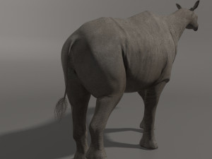 indricotherium 3d - pre-historic mammal 3D Модель