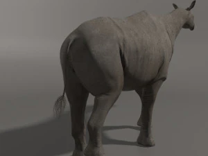 indricotherium 3d - pre-historic mammal 3D Model