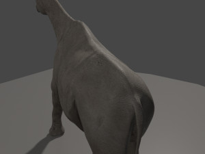 indricotherium 3d - pre-historic mammal 3D Модель