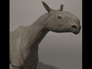 indricotherium 3d - pre-historic mammal 3D Модель