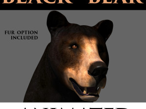 3d animated black bear 3D Model