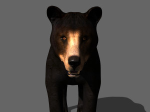 3d animated black bear 3Dモデル