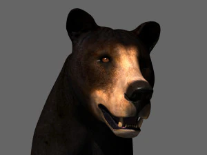 Orso nero animato 3d Modello 3D
