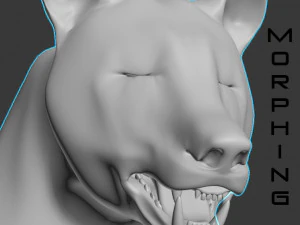 Orso nero animato 3d Modello 3D