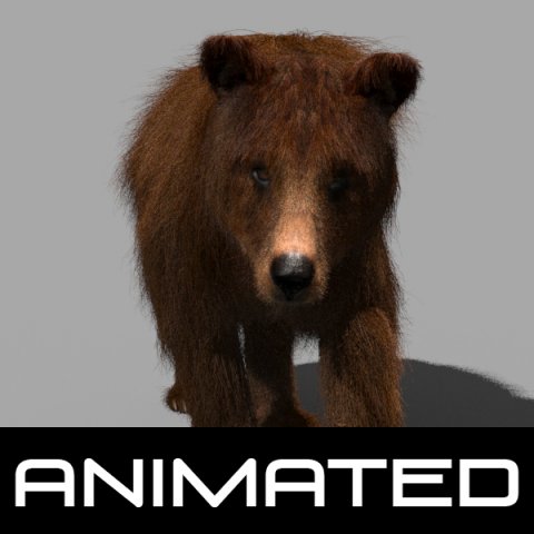 3d animated wild bear 3D 모델 .c4d .max .obj .3ds .fbx .stl .blend 