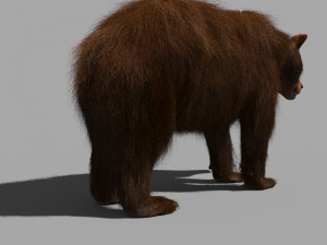 3d animated wild bear 3D 모델