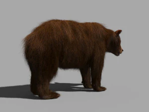 3D-animierter wilder B&auml;r 3D Modell