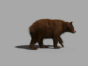 3D-animierter wilder B&auml;r 3D Modell