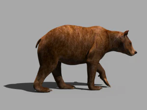 3D-animierter wilder B&auml;r 3D Modell