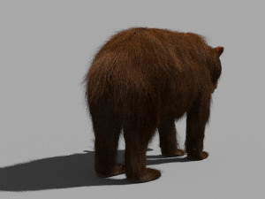 3d animated wild bear 3D 모델