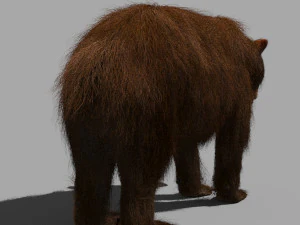 3D-animierter wilder B&auml;r 3D Modell