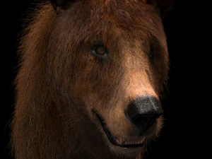 3D-animierter wilder B&auml;r 3D Modell