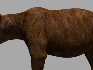 3d animated wild bear 3D 모델