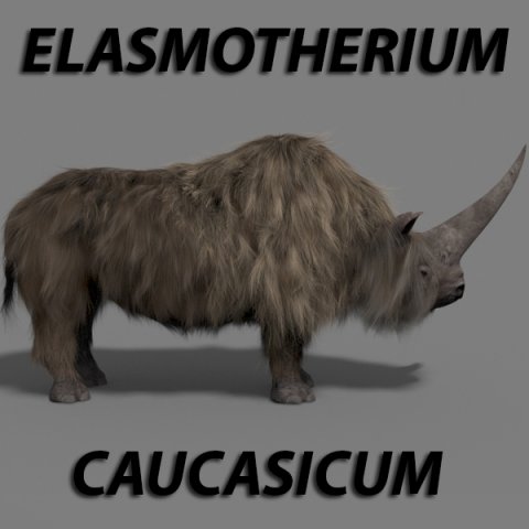 3d wooly elasmotherium rhino 3D 模型 .c4d .max .obj .3ds .fbx .stl .blend 