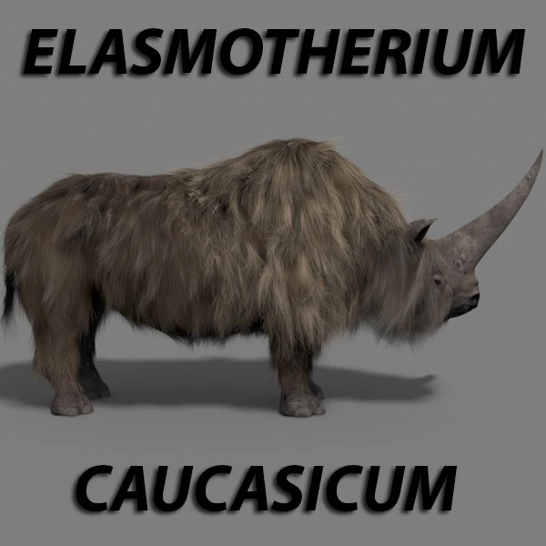 3d wooly elasmotherium rhino 3D Model .c4d .max .obj .3ds .fbx .stl .blend 