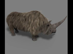 3d wooly elasmotherium rhino 3D Model