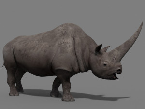 3d wooly elasmotherium rhino 3D 模型