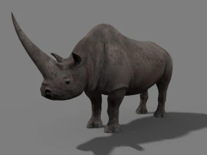 3d wooly elasmotherium rhino 3D Model