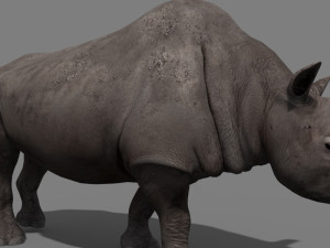 3d wooly elasmotherium rhino 3D 模型