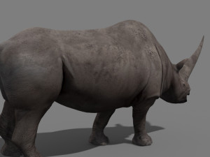 3d wooly elasmotherium rhino 3D 模型