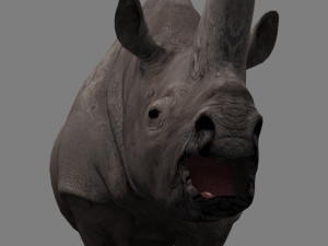 3d wooly elasmotherium rhino 3D 模型