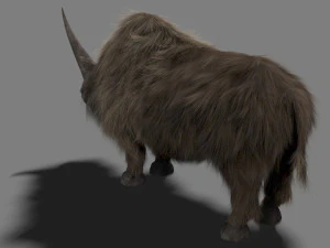 3d wooly elasmotherium rhino 3D Model
